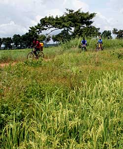 ̸���ݽ��ַ�����ŷ�������ڴ�ɾ��û��Э��