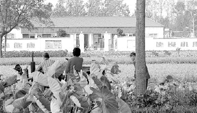 ƽ������¥�壬����������æ�����գ�Զ���Ǹô���ʩ��ȫ��������