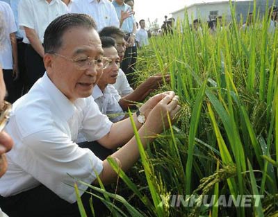 10��5�գ��¼ұ������������������������ɳ��鿴ˮ����������� �»��������ѧ����