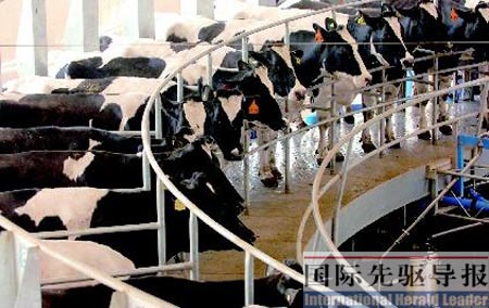 ��ţΣ�������ҹ����ð�ȫ����������������