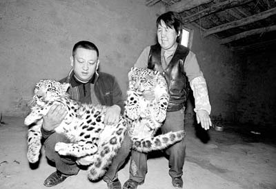 ����ΰ��ĸ�׺�ǰ���ۿ�������ѩ����Ӱ����������