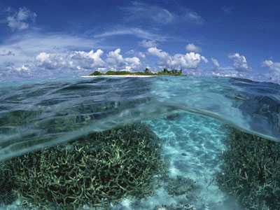 ��������ɳɺ����