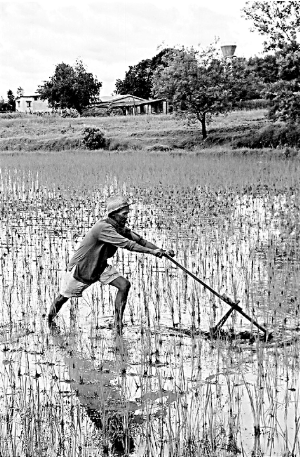 һ�������˹��ũ��������ԭʼ�ĸ����������