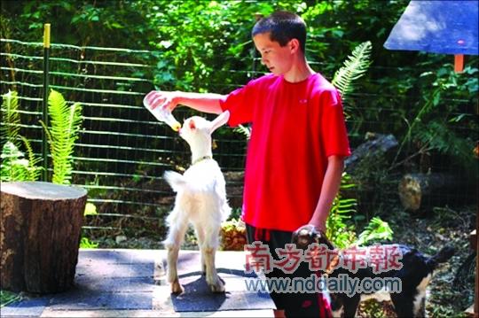 ���׼��������Ŀ��ţ�����׼�������й�