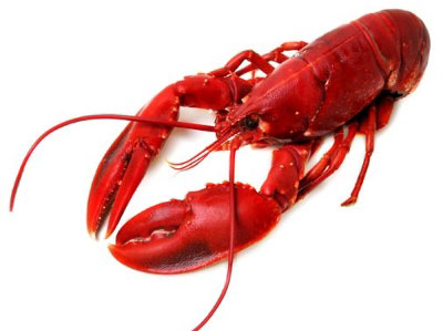 ��ITҵ25�����ܣ�Facebook��ʱһ�ܽ���(3)